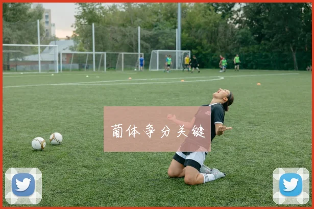 葡体争分关键