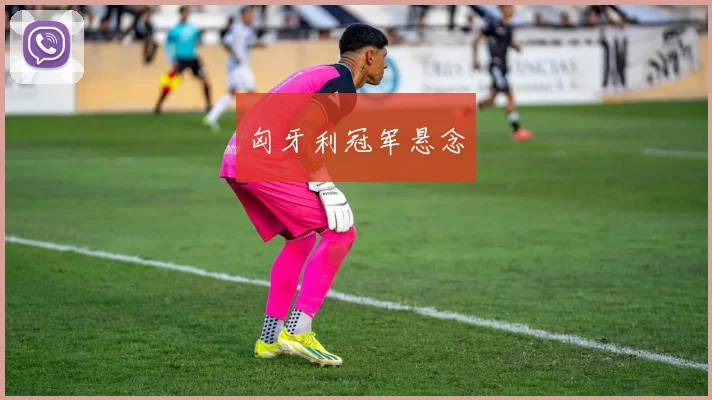 匈牙利冠军悬念