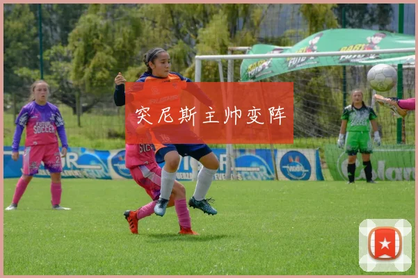 突尼斯主帅变阵