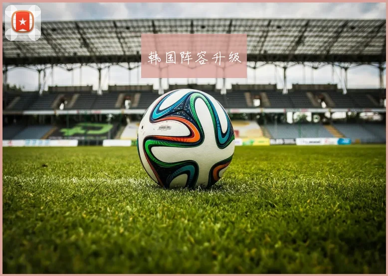 韩国阵容升级