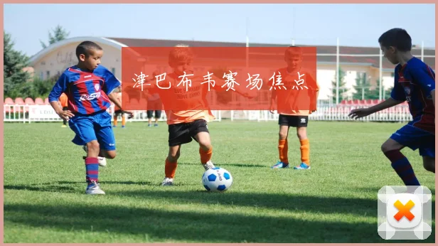 津巴布韦赛场焦点