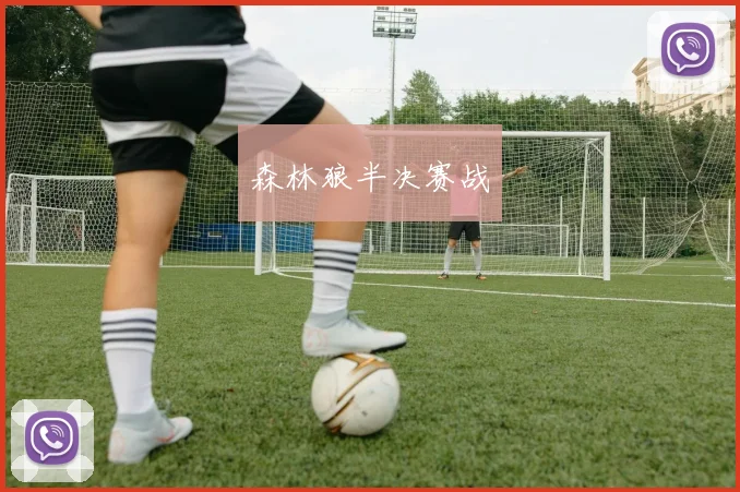 森林狼半决赛战
