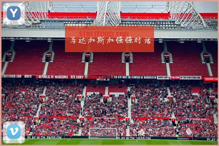马达加斯加强强对话