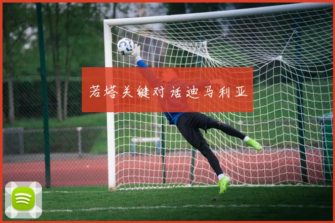 若塔关键对话迪马利亚