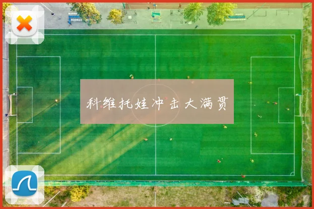 科维托娃冲击大满贯