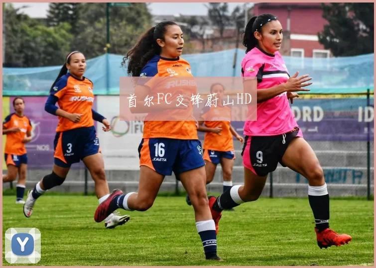 首尔FC交锋蔚山HD