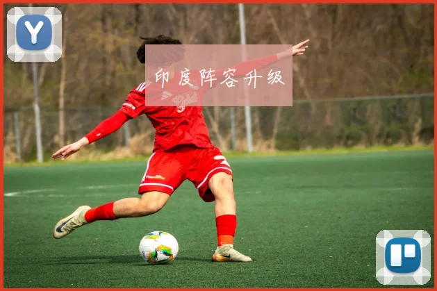 印度阵容升级