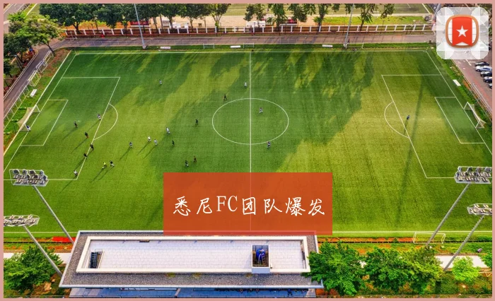 悉尼FC团队爆发