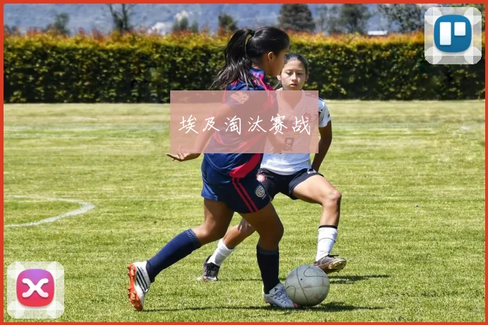 埃及淘汰赛战