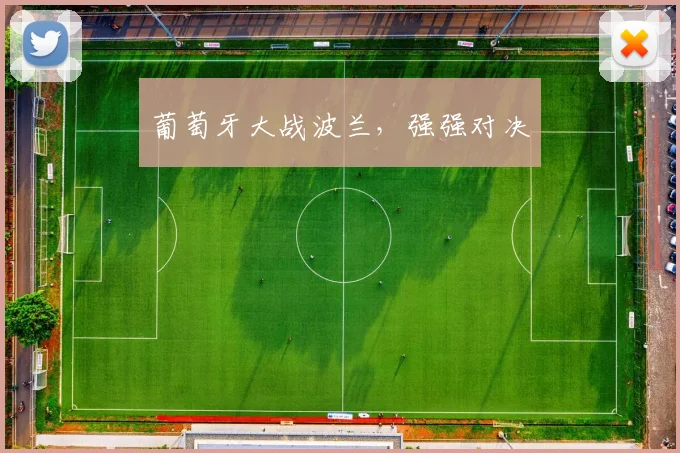 葡萄牙大战波兰，强强对决