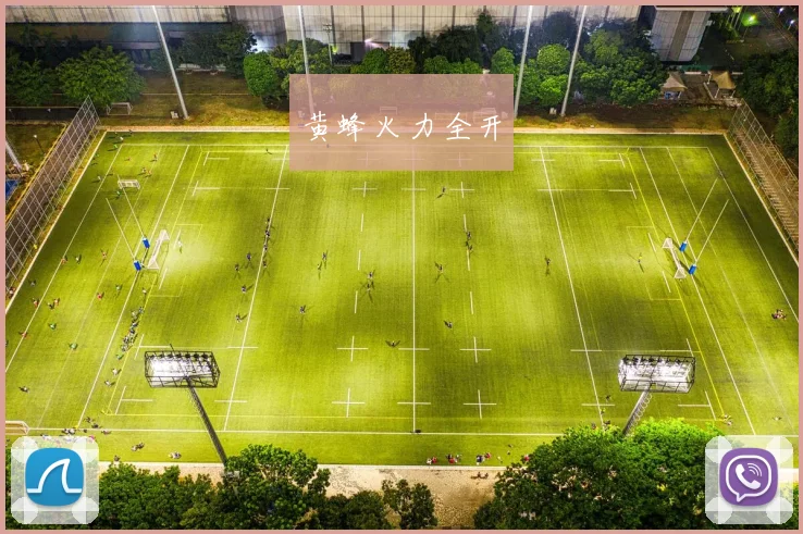 黄蜂火力全开