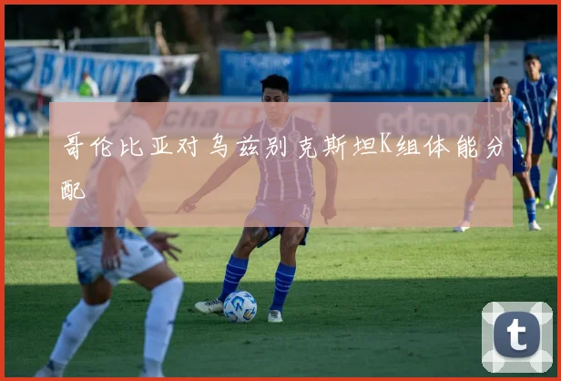 哥伦比亚对乌兹别克斯坦K组体能分配