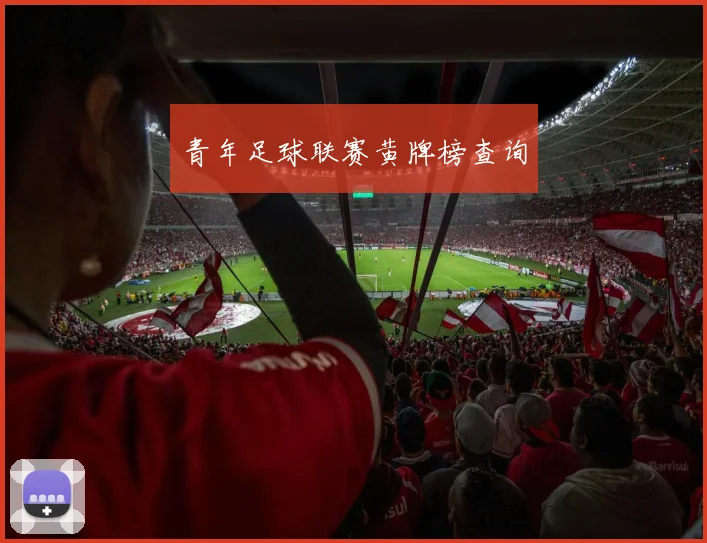 青年足球联赛黄牌榜查询