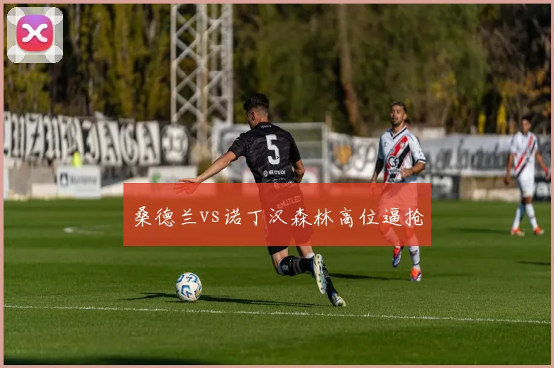 桑德兰vs诺丁汉森林高位逼抢