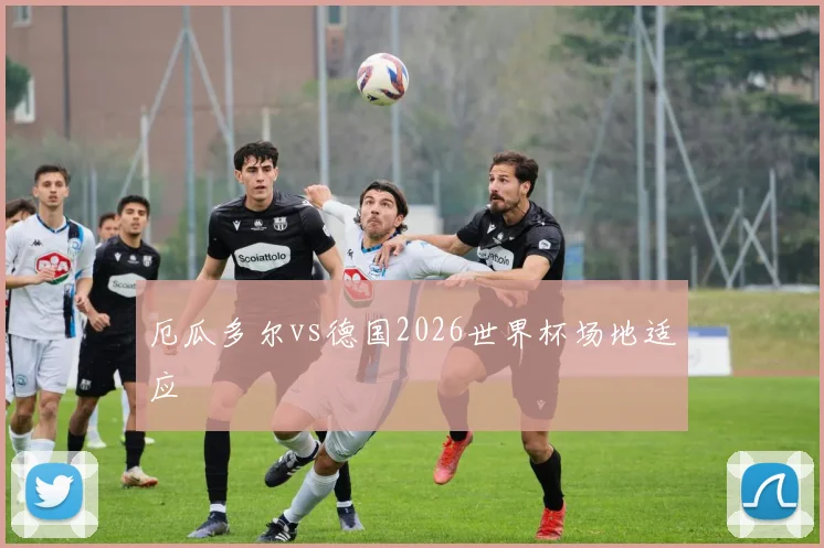 厄瓜多尔vs德国2026世界杯场地适应