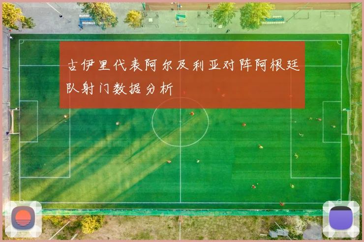 古伊里代表阿尔及利亚对阵阿根廷队射门数据分析