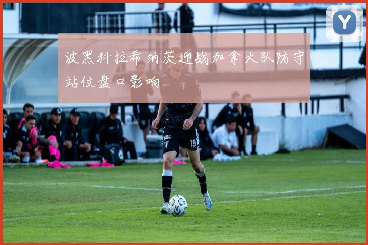 波黑科拉希纳茨迎战加拿大队防守站位盘口影响