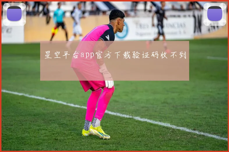 星空平台app官方下载验证码收不到