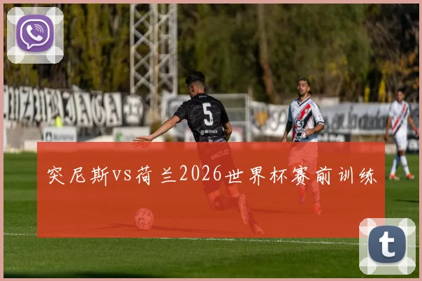 突尼斯vs荷兰2026世界杯赛前训练