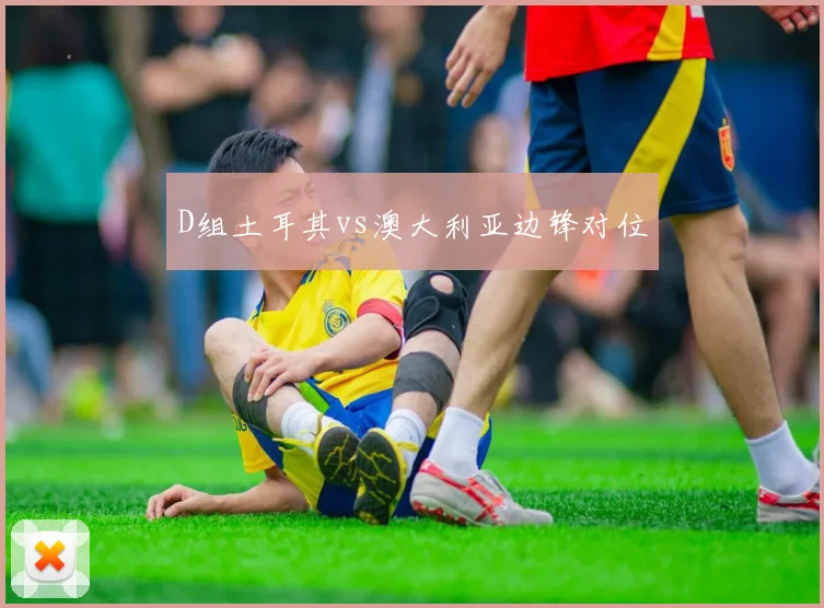 D组土耳其vs澳大利亚边锋对位