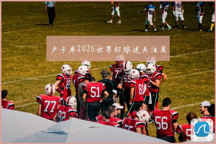 卢卡库2026世界杯球迷关注度