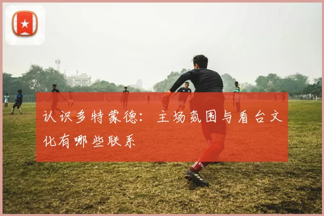 认识多特蒙德：主场氛围与看台文化有哪些联系