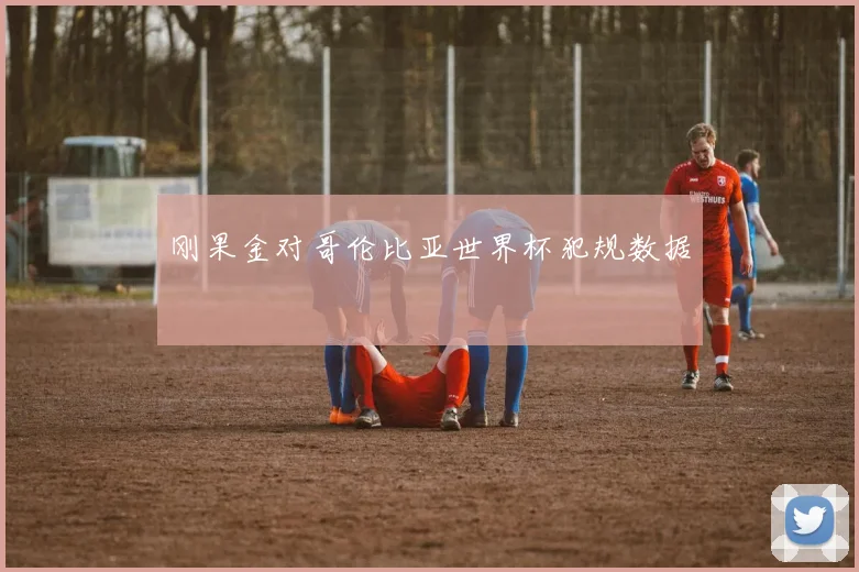 刚果金对哥伦比亚世界杯犯规数据